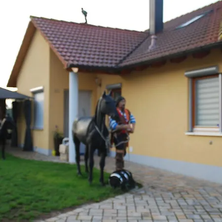 Janis-ferien-und-monteurswohnung